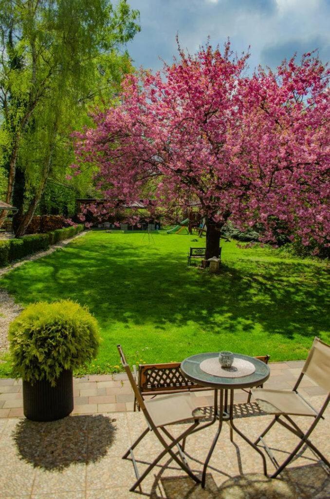 Shubu Zen Vendeghaz Hotel Szilvásvárad Екстериор снимка